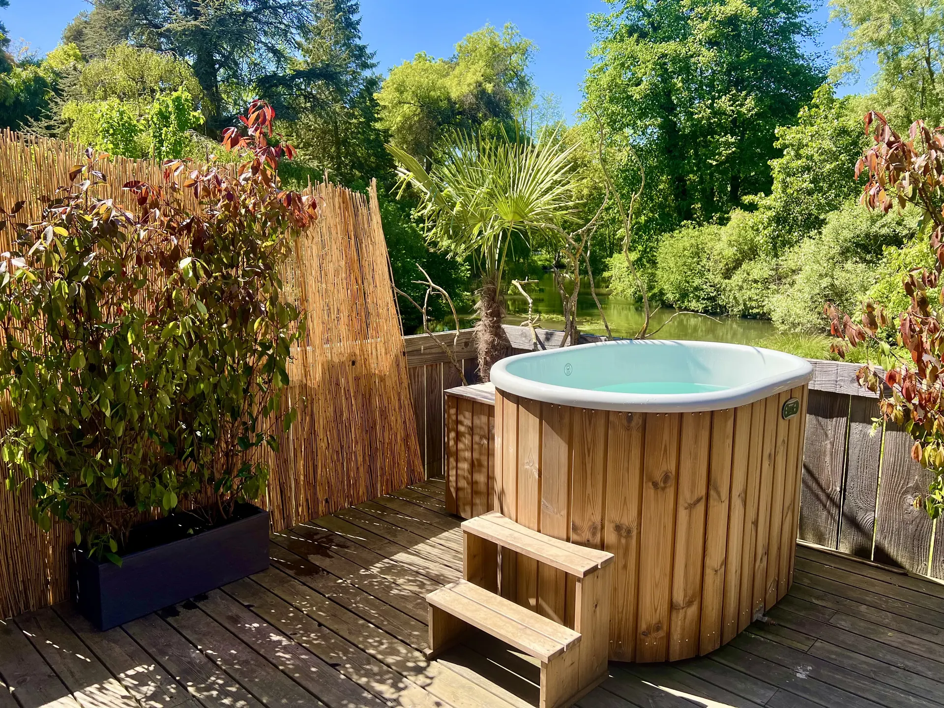 Bain nordique privatif entouré de palmier et photinia en été — La Parenthèse Essonne