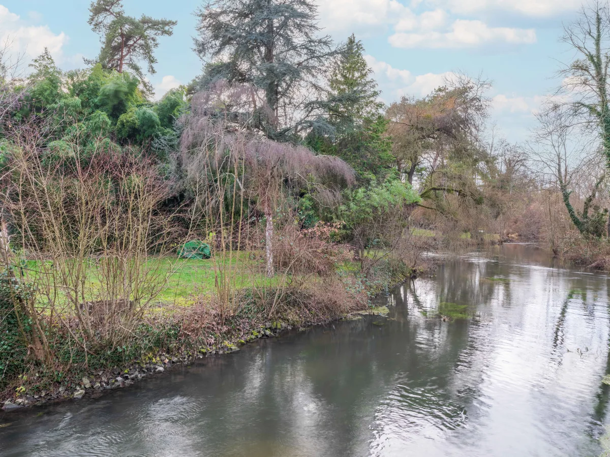 La rivière Essonne au bord de La Parenthèse — vue naturelle